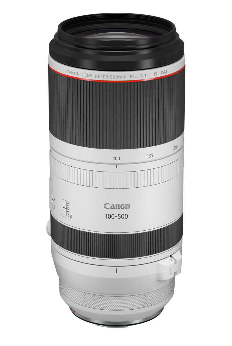 Canon RF 100-500mm F4.5-7.1 L IS USM Bild 02