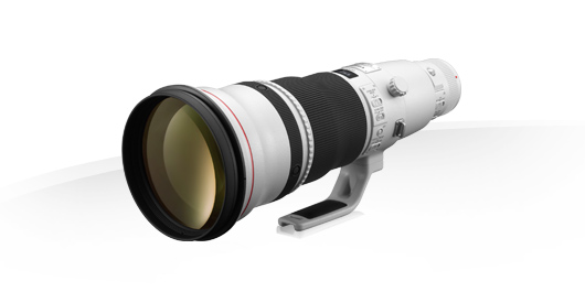 Canon EF 600mm f4 L IS II USM