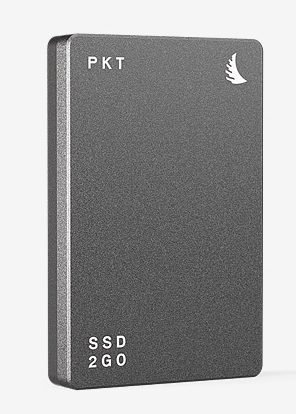 Angelbird 1TB SSD2Go PKT grau